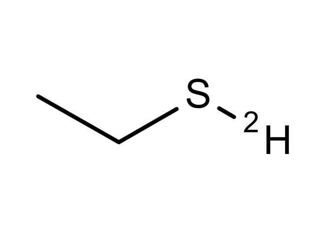 CDN-D-5665