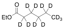 CDN-D-7060