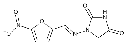 LGCFOR0506.00