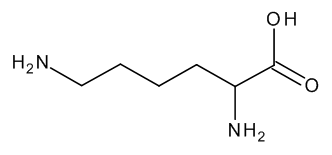 DRE-C14655000