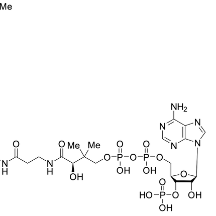 TRC-H283908