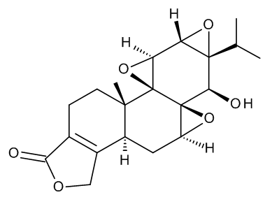 TRC-T815600