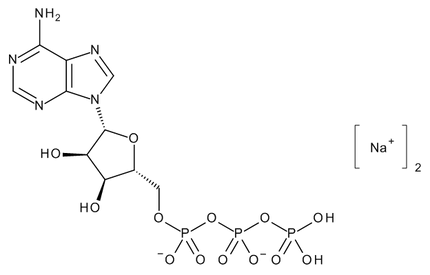 TRC-A281810