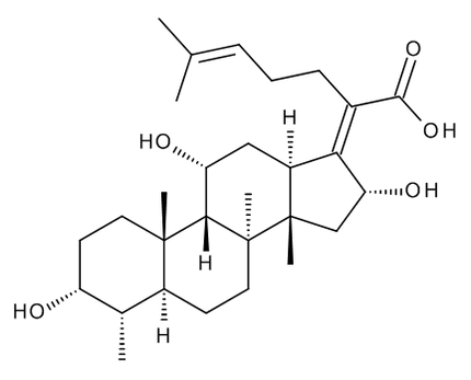 TRC-E583000
