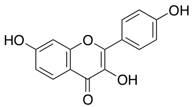 TRC-T896783