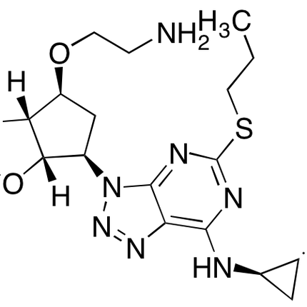 TRC-D192180